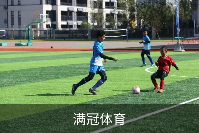 满冠体育公司简介配图